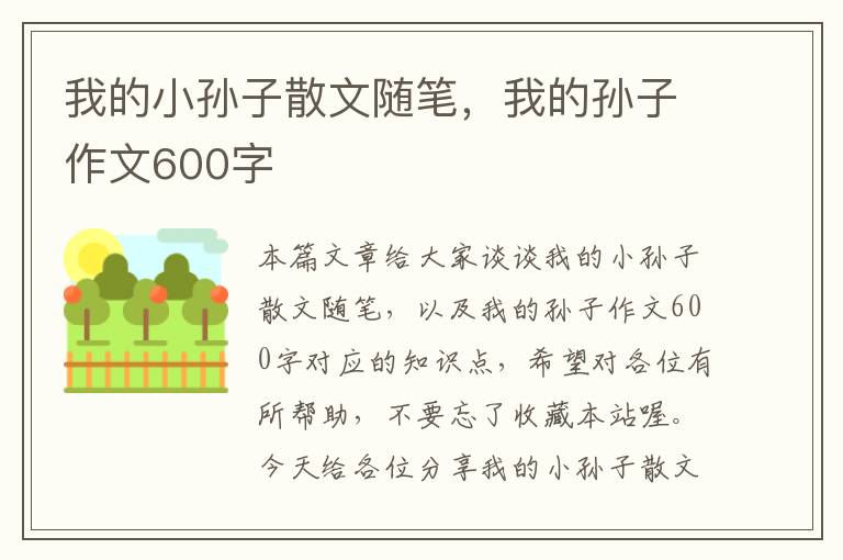 我的小孙子散文随笔，我的孙子作文600字