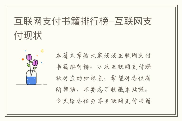 互联网支付书籍排行榜-互联网支付现状