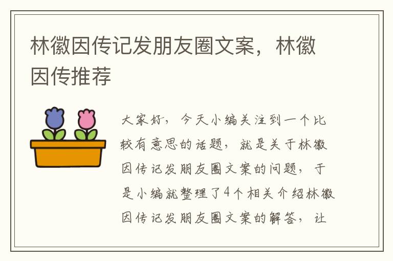 林徽因传记发朋友圈文案，林徽因传推荐