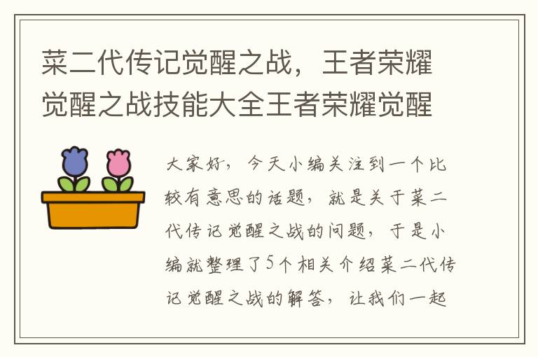 菜二代传记觉醒之战，王者荣耀觉醒之战技能大全王者荣耀觉醒之战全英雄技能一览