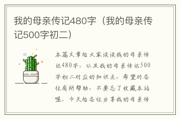 我的母亲传记480字（我的母亲传记500字初二）