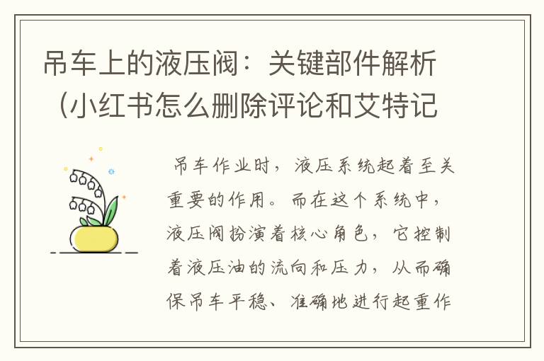 吊车上的液压阀：关键部件解析（小红书怎么删除评论和艾特记录）