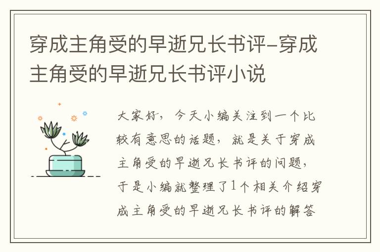 穿成主角受的早逝兄长书评-穿成主角受的早逝兄长书评小说