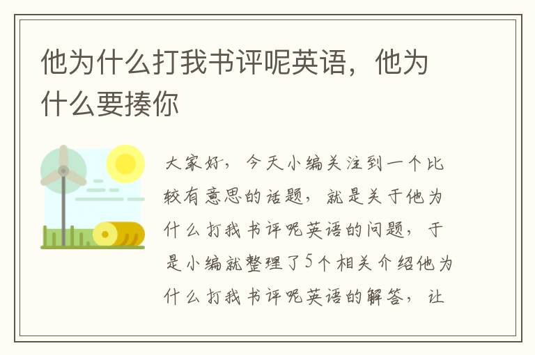 他为什么打我书评呢英语，他为什么要揍你