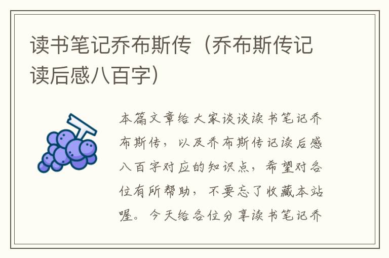 读书笔记乔布斯传（乔布斯传记读后感八百字）