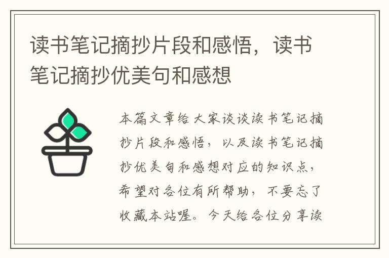 读书笔记摘抄片段和感悟，读书笔记摘抄优美句和感想