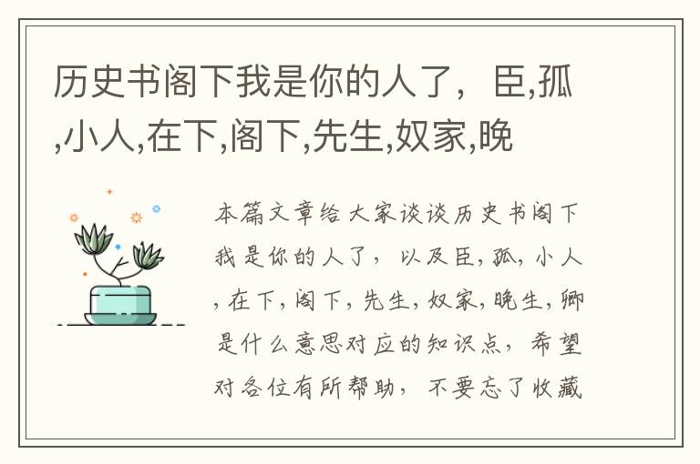 历史书阁下我是你的人了，臣,孤,小人,在下,阁下,先生,奴家,晚生,卿是什么意思