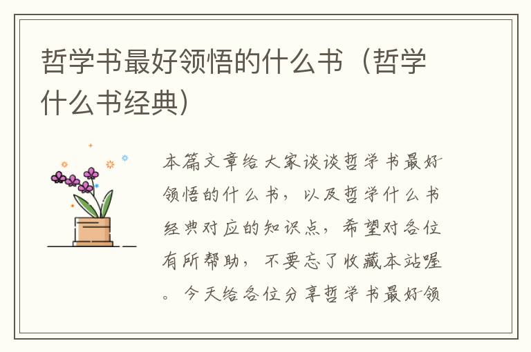 哲学书最好领悟的什么书（哲学什么书经典）